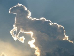 Paarden zien in wolken (Foto: Koen Smets)