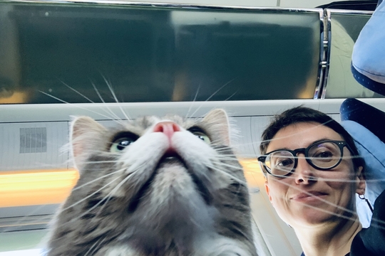 Victoria Lomasko en haar kat Dwerg op de trein naar Brussel.