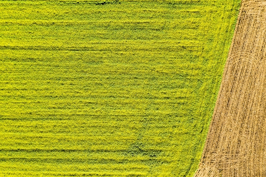 aerial-photography-color-drone-photography-farmer-1529346