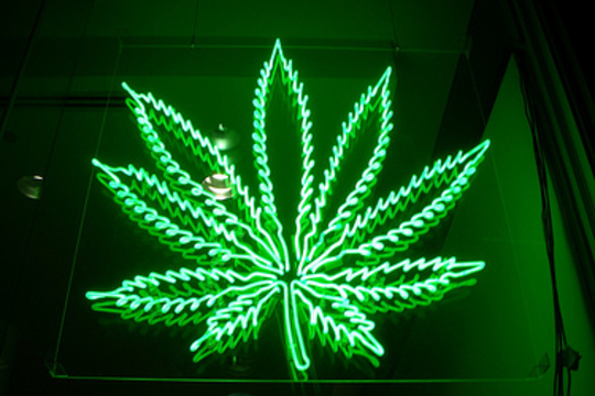 Cannabisblad in neonlicht (Bron: Flickr.com by PunkToad)