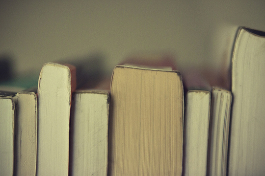 Verschillende boeken (Foto: Azrasta/ Oktober 2010/ Flickr-CC)