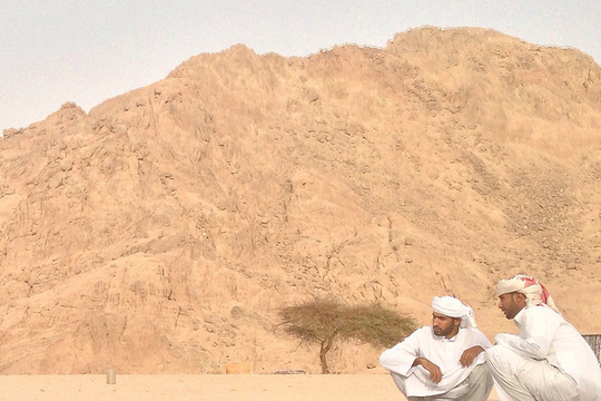 Bedoeïenen in de Sinai woestijn (Foto: Stacey MacNaught)