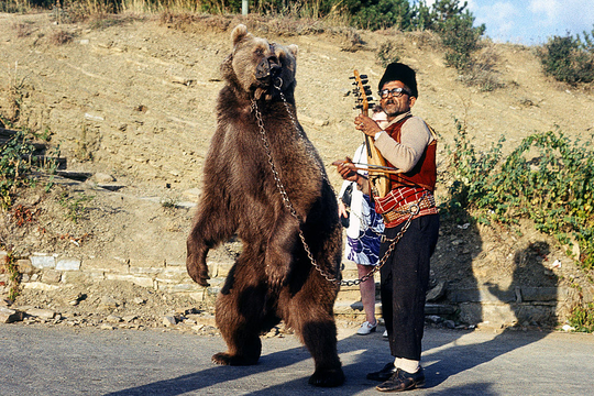 1024px-Dancing_bear_in_Bulgaria_about_1970_1