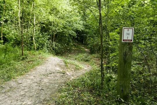 Wandelpaden in het natuurgebied Kleiputten Terhagen.
