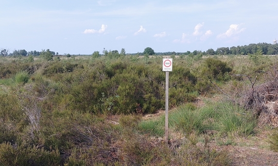 Een bordje met 'verboden toegang' in de Kaltmhoutse Heide
