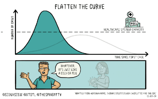 Flatten-the-Curve-2