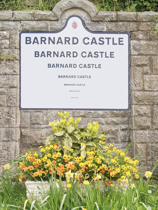 Barnard Castle eye test