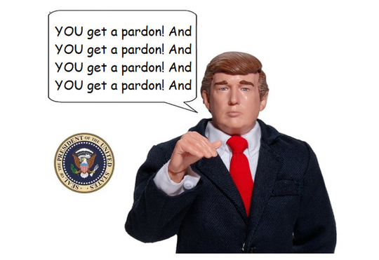 Presidential pardon
