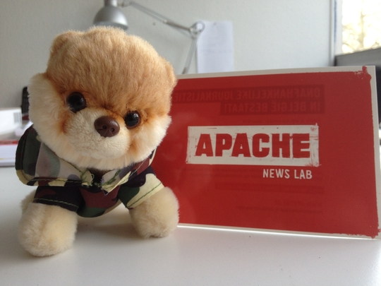 La peluche du chien Boo de la rédaction aime Apache.be