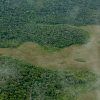 Amazone regenwoud ontbossing